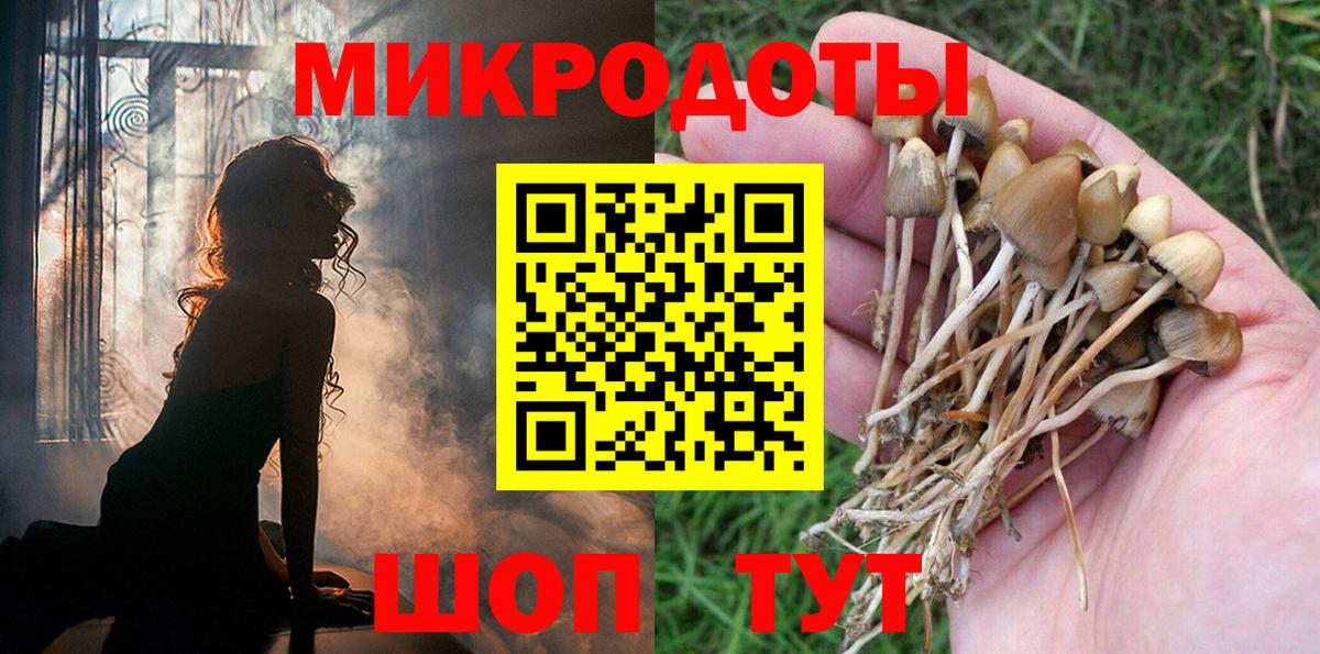 Галлюциногенные грибы GOLDEN TEACHER  Вход с VPN  Камень-на-Оби 